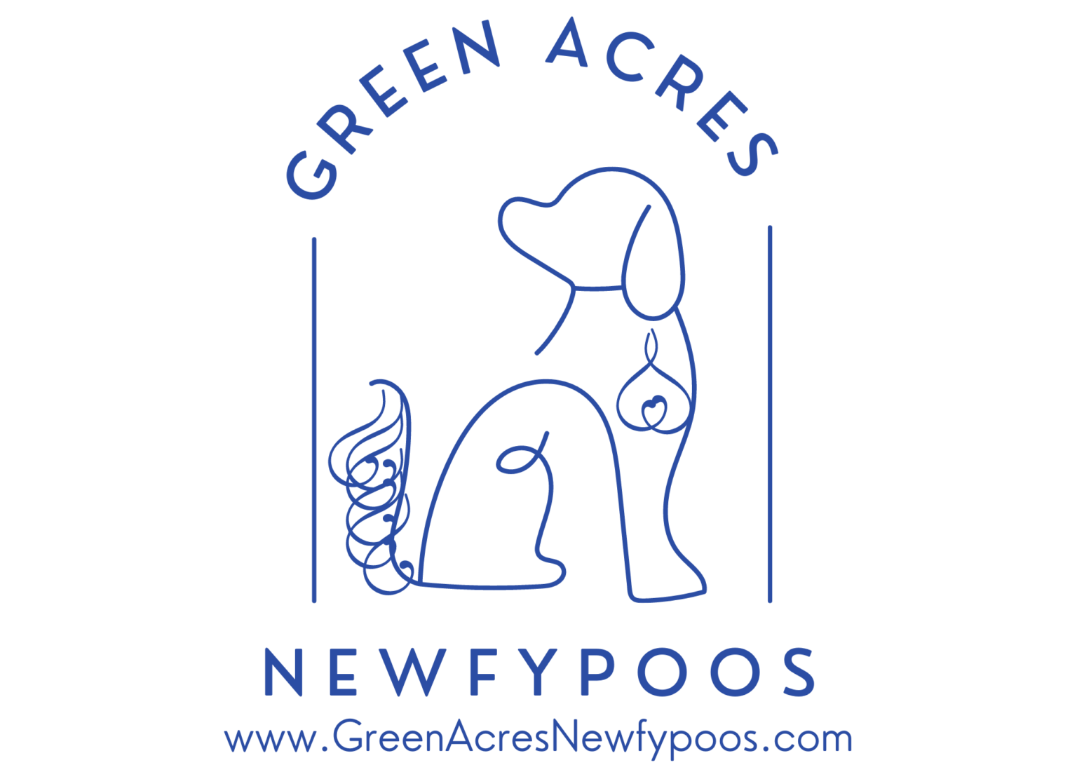 Tips For Grooming A Doodle Green Acres Newfypoos