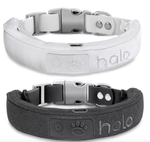 wireless dog fence